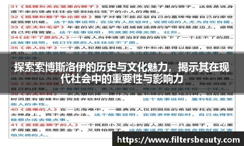 探索索博斯洛伊的历史与文化魅力，揭示其在现代社会中的重要性与影响力